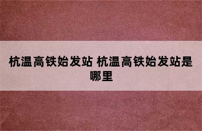 杭温高铁始发站 杭温高铁始发站是哪里